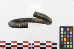 Foto von Bronzearmreif (NHMW-PRAE-002265)